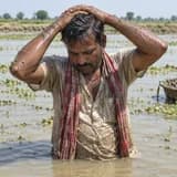 Bihar harvest family 2