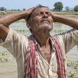 Bihar harvest family 3