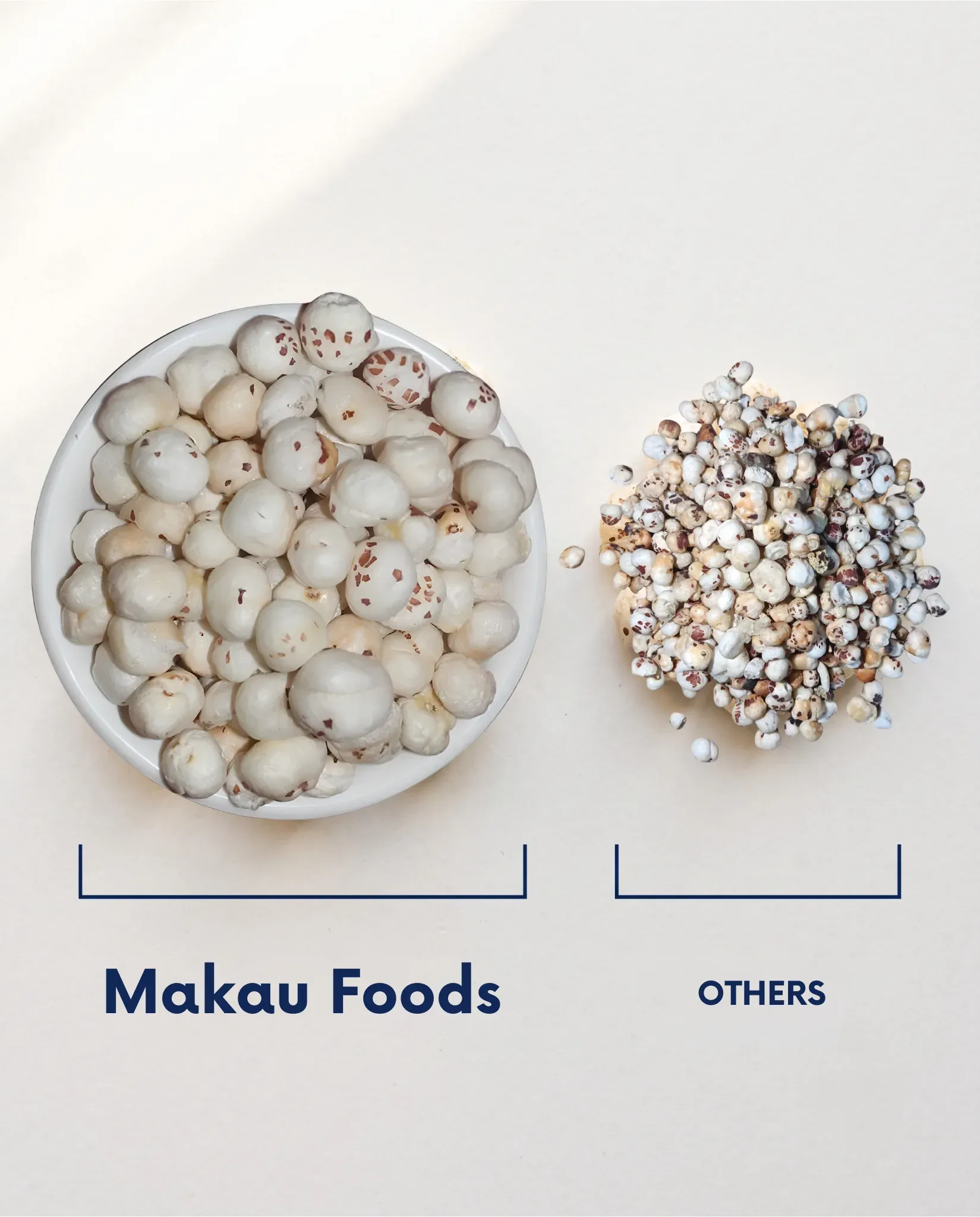 Size comparison of hand-graded Makau makhana next to a mixed, ungraded batch