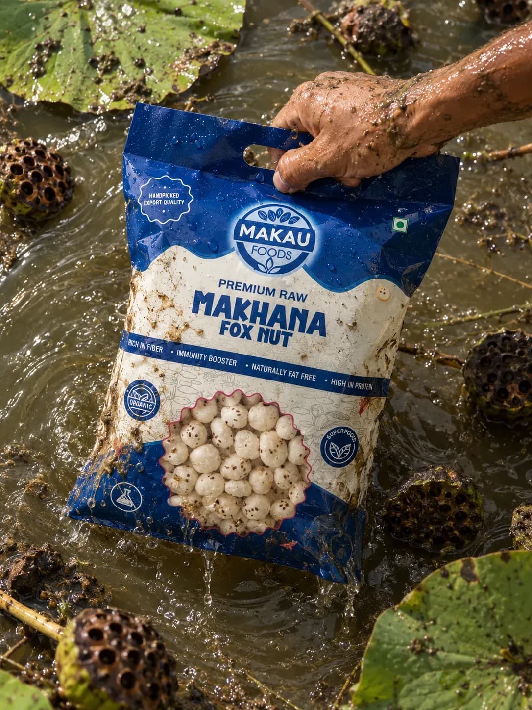 How Makau makhana travels from the Bihar pond to a sealed packet